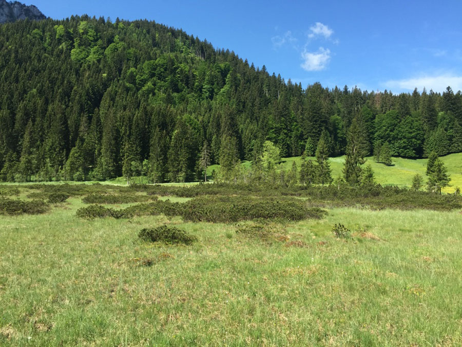 chiemgau